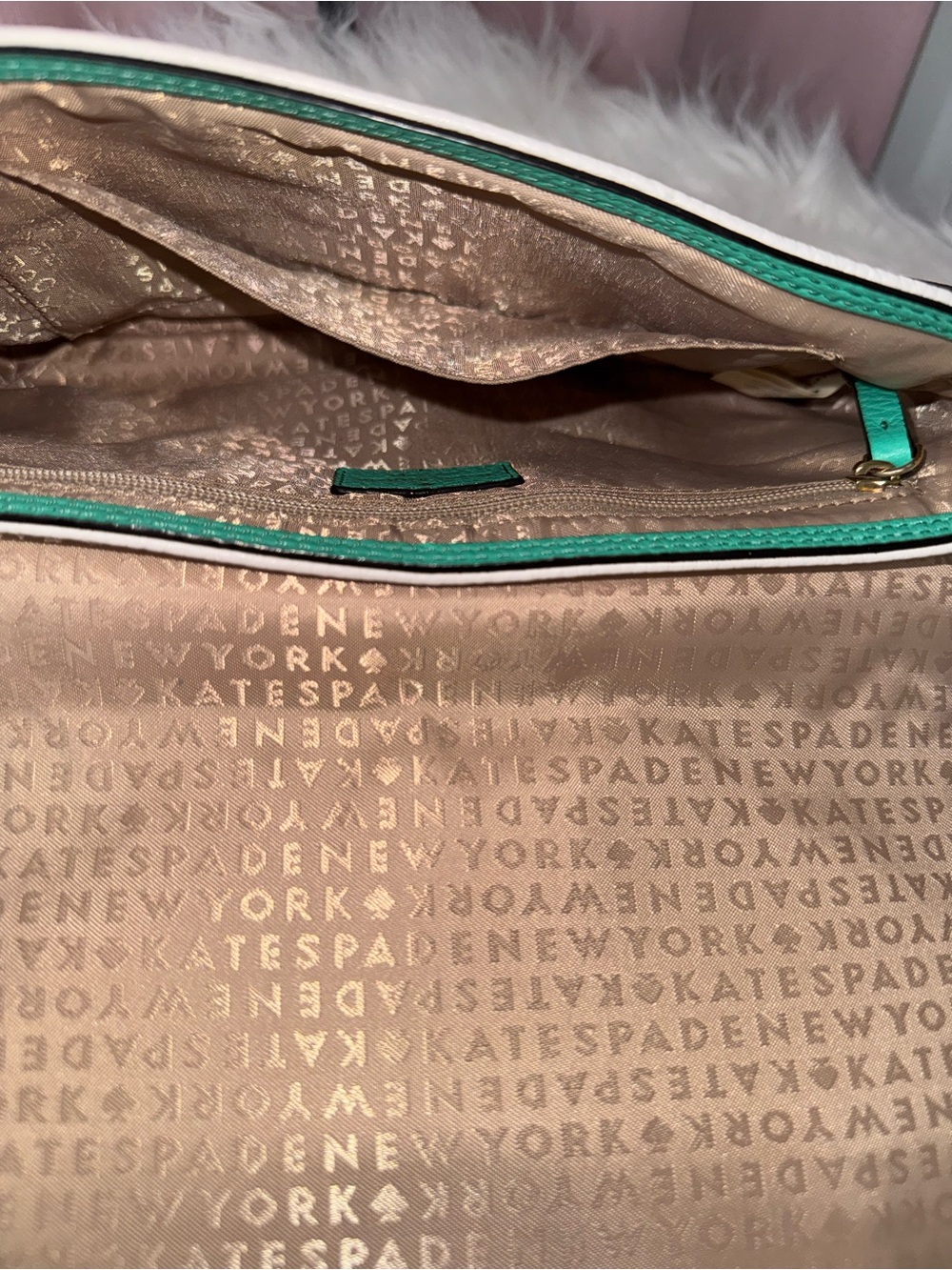 Kate Spade Crossbody/Clutch -She’s Cute, She’s Classy, She Knows It 💙 - Picture 5 of 9